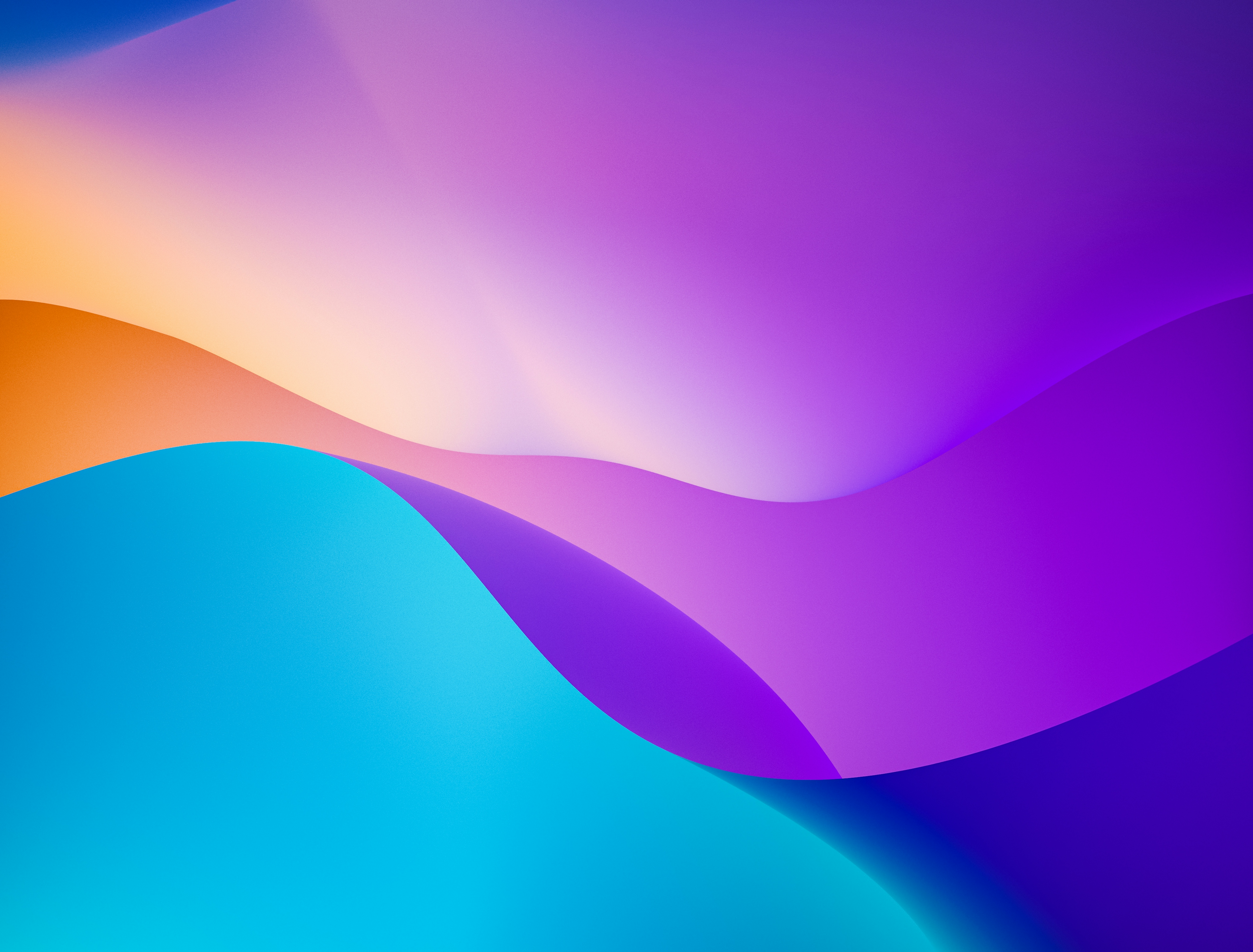 Bold brand identity and colour palette presentation